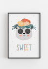 Sweet Panda - The Ditzy Dodo