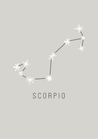 Scorpio Constellation - The Ditzy Dodo