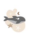Neutral Whale - The Ditzy Dodo
