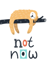 Not Now - The Ditzy Dodo