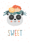 Sweet Panda - The Ditzy Dodo