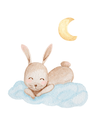 Sleeping Rabbit - The Ditzy Dodo