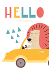 Hello Car - The Ditzy Dodo