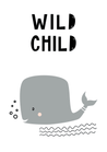 Wild Child Whale - The Ditzy Dodo
